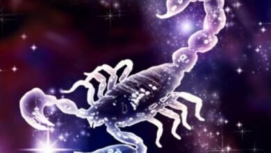 برج العقرب 7 يناير .. لديك. طريق ملئ بالتحديات