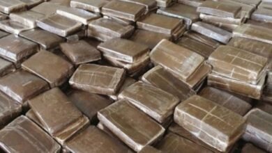 حبس 3 أشقاء 4 أيام على ذمة التحقيق بحوزتهم مواد مخدرة بمحافظة القليوبية