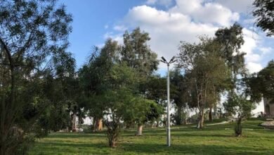وزارة الرى تواصل تطوير الحدائق التابعة لها بالقناطر الخيرية