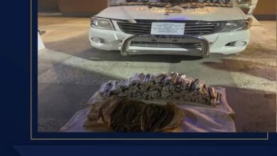 عاجل.. ضبط تشكيل عصابي تخصص في تهريب والإتجار بالأسلحة النارية والمواد المخدرة بـ الأقصر وأسوان