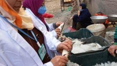 بيطري الشرقية: يُحرر 11 محضر مخالفة ويضبط 49 كجم لحوم و 65 كجم أسماك مخالفة 