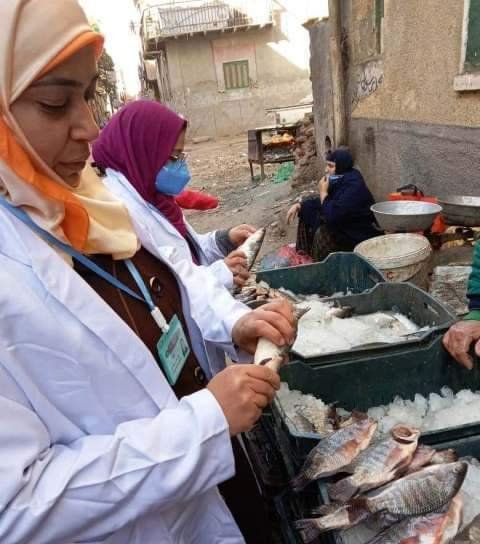 بيطري الشرقية: يُحرر 11 محضر مخالفة ويضبط 49 كجم لحوم و 65 كجم أسماك مخالفة 