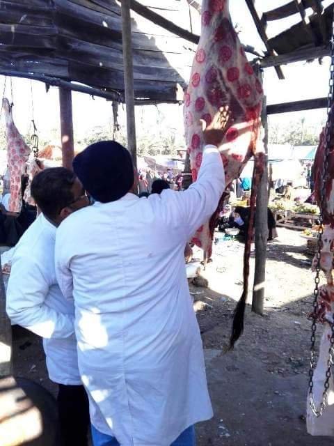 بيطري الشرقية: يُحرر 11 محضر مخالفة ويضبط 49 كجم لحوم و 65 كجم أسماك مخالفة 