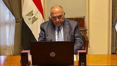 شكري يشارك في الاجتماع الوزاري التشاوري بين مجلس السلم والأمن الإفريقي 
