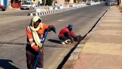  محافظ أسوان رفع 40 طن تراكمات بكلابشة وتنفيذ أعمال تهذيب الأشجار ورفع المخلفات بالسباعية