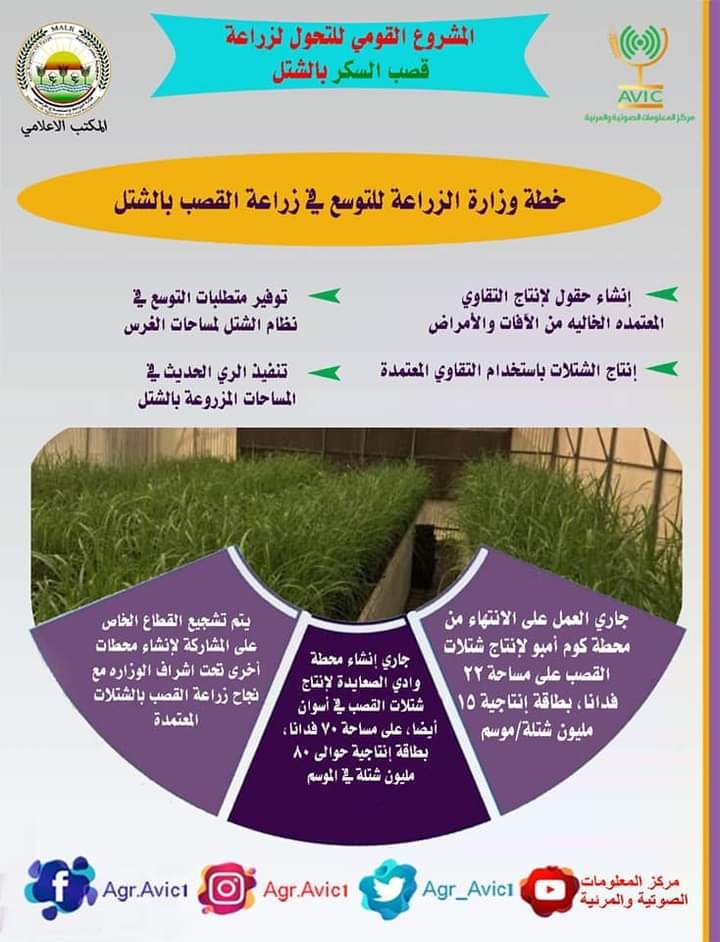 الزراعة توضح أهمية المشروع القومي للتحول لزراعة قصب السكر بنظام الشتل