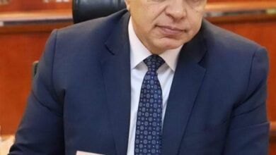 سعفان: تمديد الإقامات والتأشيرات آلياً دون مقابل للمقيمين بالخارج حتي 31 مارس المقبل