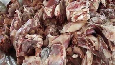 القبض على صاحب مجزر بحوزته نصف طن دواجن ولحوم فاسدة بالقاهرة