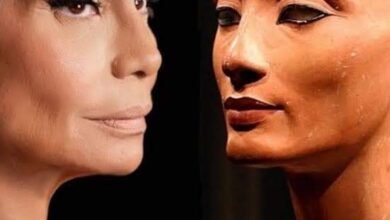معلومات عن نفرتيتي السينما المصرية سوسن بدر