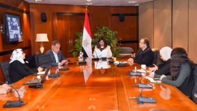 وزيرة الهجرة تلتقي عددًا من رواد الأعمال المصريين بالخارج والأفارقة لتبادل الخبرات