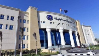 تحريات مكثفة لكشف غموض العثور على أشلاء جثة شاب بأكتوبر