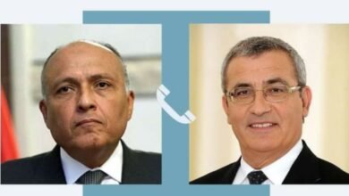 وزير الخارجية سامح شكري يتلقى اتصالاً هاتفياً من وزير خارجية مالطا