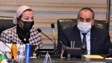 وزيرا الطيران والبيئة يبحثان الاستعدادات لاستضافة مصر قمة المناخ