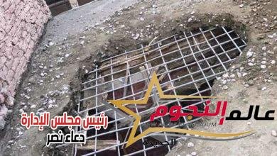 الأجهزة التنفيذية تُكثف حملاتها اليومية لإزالة التعديات على الأراضي الزراعية 