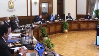 مجلس الوزراء يوافق على حوافز ودعم الأنشطة الاستثمارية المتعلقة بالاقتصاد الأخضر والذكاء الاصطناعي