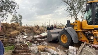 عوض تُعلن إزالة ٨٩ حالة منذ إنطلاق المرحلة الثالثة من الموجة مطلع هذا الأسبوع