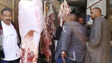  محافظ أسوان حملات تموينية على الأسواق بمراكز ومدن نصر النوبة ودراو لضبط منظومة الأسعار