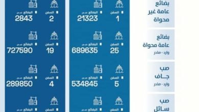 أقتصادية قناة السويس: ميناء السخنة يحقق معدلات نمو تتخطى الـ 30%