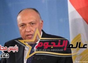 وزيرا الخارجية المصري والسوداني يتفقان على مواصلة الجهود لتعزيز العلاقات الثنائية بين مصر والسودان 2 وزيرا الخارجية المصري والسوداني يتفقان على مواصلة الجهود لتعزيز العلاقات الثنائية بين مصر والسودان