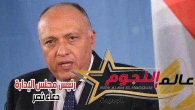 وزيرا الخارجية المصري والسوداني يتفقان على مواصلة الجهود لتعزيز العلاقات الثنائية بين مصر والسودان