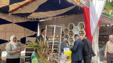 الزراعة: إقبالا كبيرا من المواطنين على معرض خير مزارعنا لأهالينا 