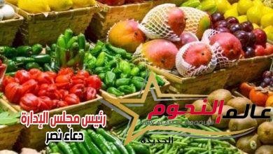 ٥٧,٥ مليون دولار قيمه الصادرات الزراعية بالإسماعيلية خلال شهر فبراير ٢٠٢٢