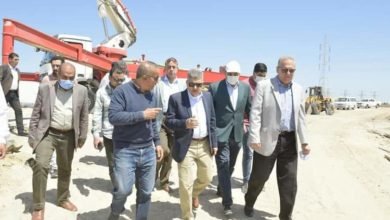 ربيع يتابع بدء استزراع أسماك الدنيس والبلطي بإجمالي ٢,٥ مليون سمكة زريعة دنيس 