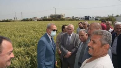 الهجان يلتقي بعدد من المزارعين بمركز ومدينة بنها وطوخ لحثهم على توريد القمح