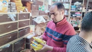 صحة المنيا تحرر 200 محضر لمنشآت غذائية مخالفة خلال شهر مارس