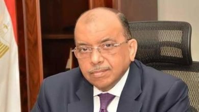 شعراوي: 1.8 مليار جنيه لإنشاء 523 سوقاً ونقطة إطفاء وموقف للسيارات بقرى حياة كريمة في 20 محافظة
