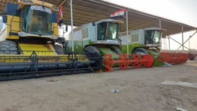 الزراعة: قطاع الميكنة والزراعة الآلية يشارك في حصاد القمح بأحدث المعدات والآلآت 