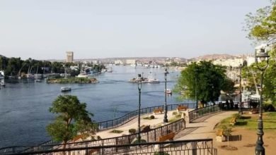  محافظ أسوان: جولة للسكرتير العام المساعد بالحدائق العامة لرفع كفاءتها وظهورها بالشكل اللائق أمام مواطنى وزائرى المحافظة