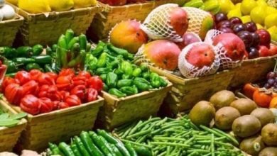 ٤٧.٧ مليون دولار قيمه الصادرات الزراعية بالإسماعيلية خلال شهر مارس ٢٠٢٢