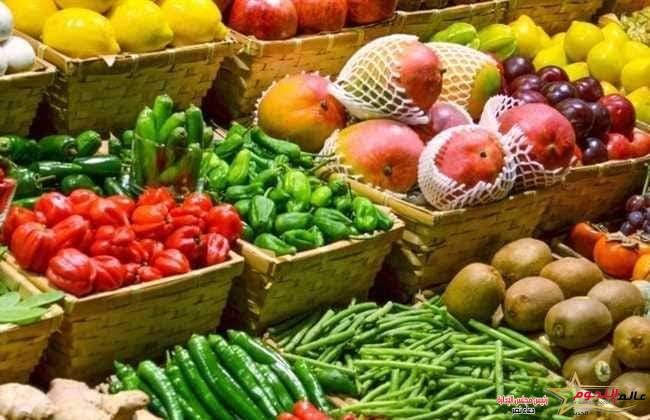 ٤٧.٧ مليون دولار قيمه الصادرات الزراعية بالإسماعيلية خلال شهر مارس ٢٠٢٢