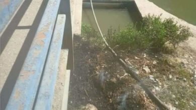 محافظة الاسماعيلية تحبط محاولة سرقة كابل كهربائي أسفل كوبري الجلاء  