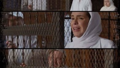 الحلقة الـ 19 من مسلسل «ملف سري».. الحكم على حازم وأمنية بالمؤبد