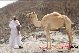 الحلقة 23 من مسلسل المداح 2.. تورط صابر في جريمة قتل وكوارث أخرى تلاحقه 2 الحلقة 23 من مسلسل المداح 2.. تورط صابر في جريمة قتل وكوارث أخرى تلاحقه
