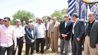 غراب : يتفقد موسم حصاد القمح بأحد الحقول الزراعية ببني عباد بمركز الزقازيق 