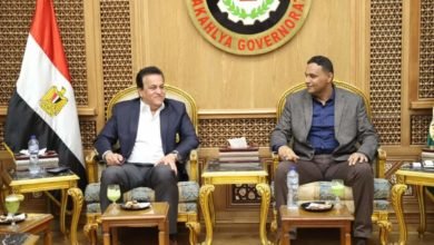 عبد الغفار ومحافظ الدقهلية يستعرضان ملامح خطة الدولة للنهوض بقطاعي التعليم والصحة بالمحافظة