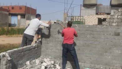 لجنة التعديات على الأراضي الزراعية بحي وسط تنفذ حملة مكبرة لازالة تعدي على أراضي زراعية بقرية الروضة بأبيس