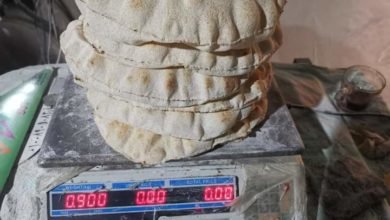 الحملات التموينية تضبط العديد من المخالفات التموينية بالمخابز والمحلات والاسواق بمحافظة الدقهلية 
