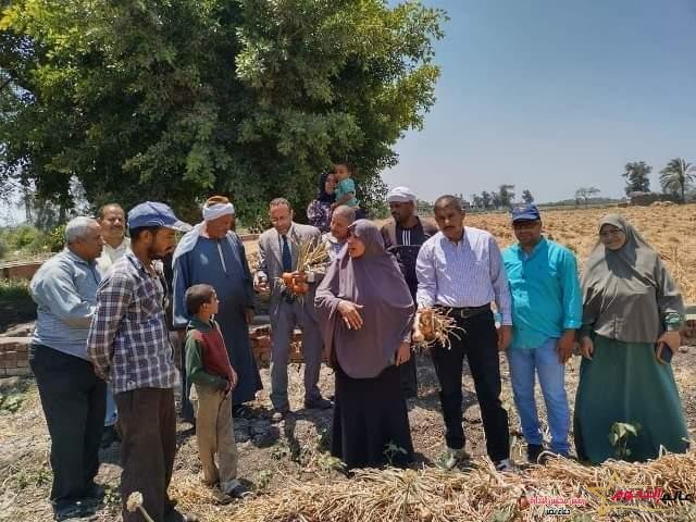 زراعة الشرقية تُنفذ يوم حصاد لمحصول البصل المحمل مع القطن بمركزي الزقازيق وأبو حماد 2 زراعة الشرقية تُنفذ يوم حصاد لمحصول البصل المحمل مع القطن بمركزي الزقازيق وأبو حماد