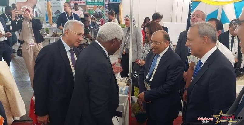 شعراوي يفتتح الجناح المصرى في معرض المدن الافريقية بمشاركة محافظى القليوبية ودمياط وقيادات أفريقية 3 شعراوي يفتتح الجناح المصرى بمشاركة محافظى القليوبية ودمياط وقيادات أفريقية