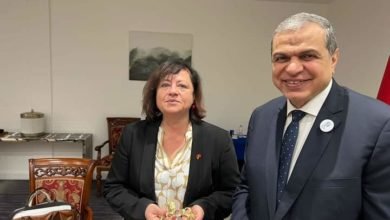 سعفان يلتقي مسئولي اقتصادي ألماني لبحث ثقل مهارات الفنيين وتدريب وتأهيل الشباب لسوق العمل