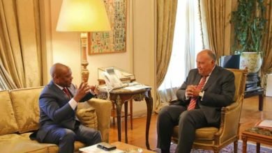 شكري يستقبل سكرتير عام منظمة الدول الثماني النامية للتعاون الأقتصادي