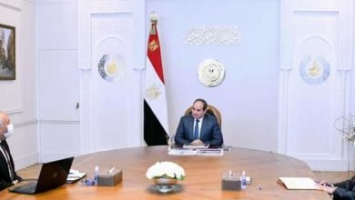 السيسي يجتمع مع محافظ الوادي الجديد للوقوف على الموقف التنفيذي للمشروعات الأستراتيجية المختلفة في المحافظة