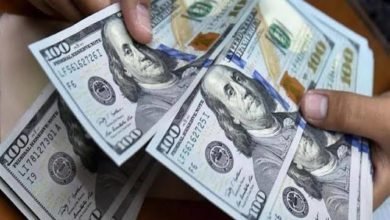 سعر الدولار أمام الجنيه في أول تعاملات اليوم الأحد  15/5/2022