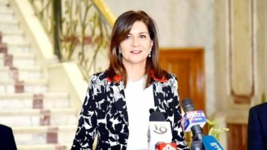 وزيرة الهجرة نبيلة مكرم وأول تعليق لها على اتهام نجلها بقضية قتل في أمريكا