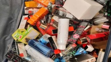 إخلاء سبيل «قمر الوكالة» المتهمة بحيازة وبيع مستحضرات تجميل «مغشوشة» بكفالة 20 ألف جنيه