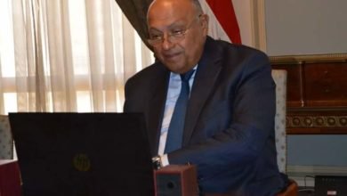 شكري يجري اتصالاً مرئياً مع نظيرته التنزانية